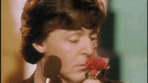 giphy (3).gif