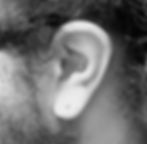 Lobe and Conch Piercings - Left Ear