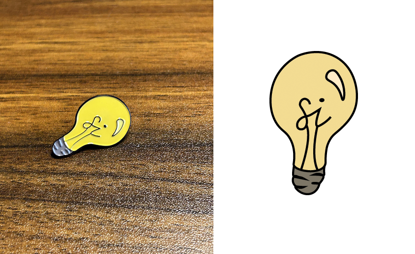 Supplemental Instruction Pin
