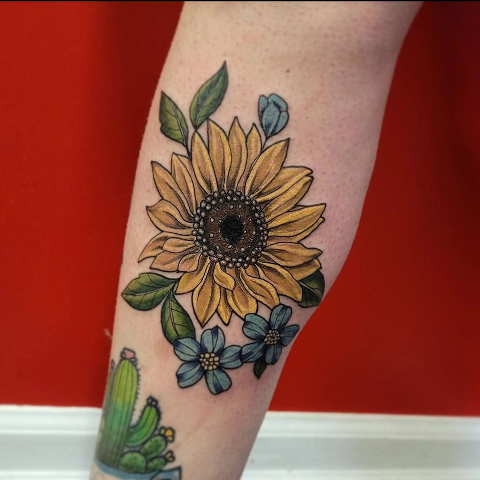 Sunflower