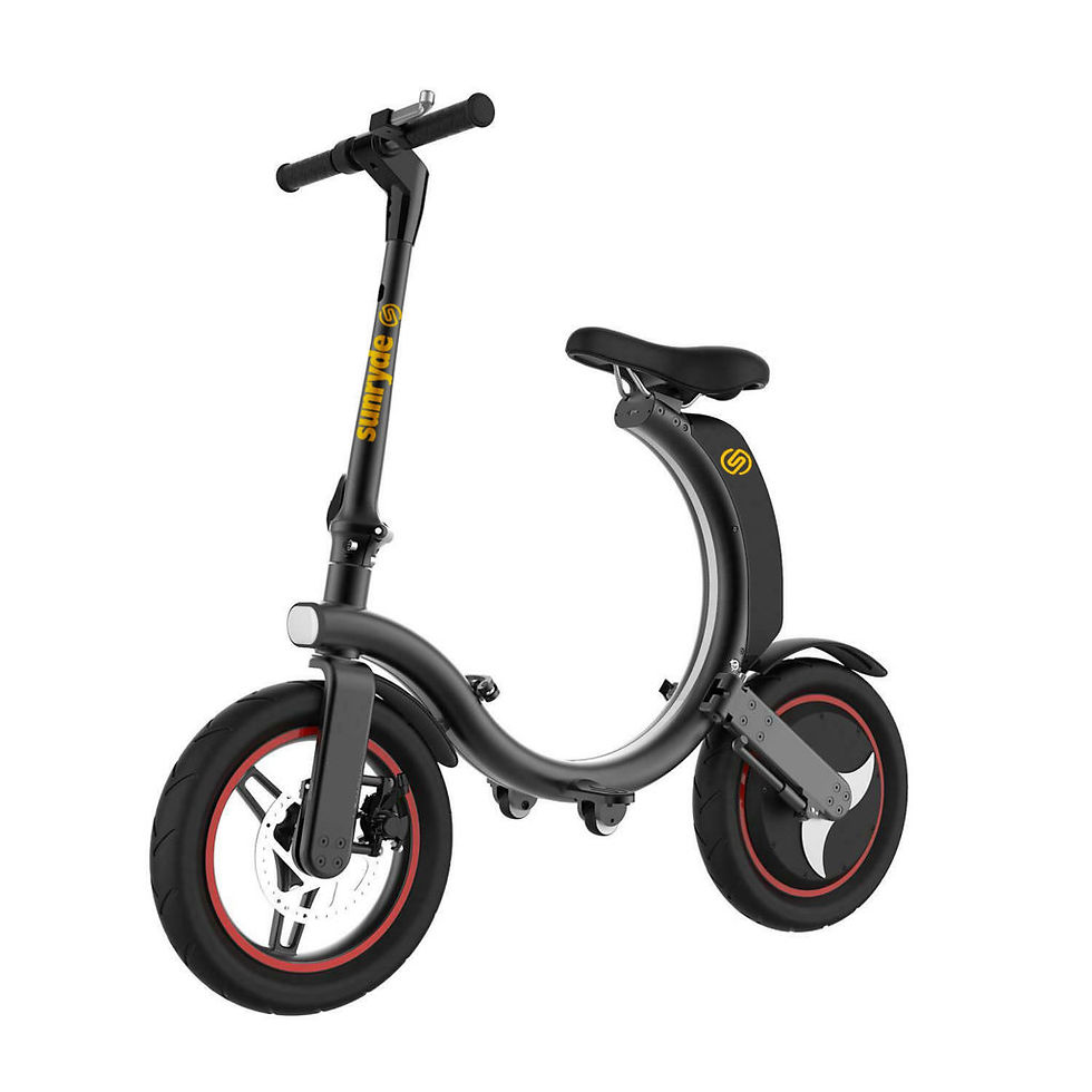 SAM Folding E-Bike