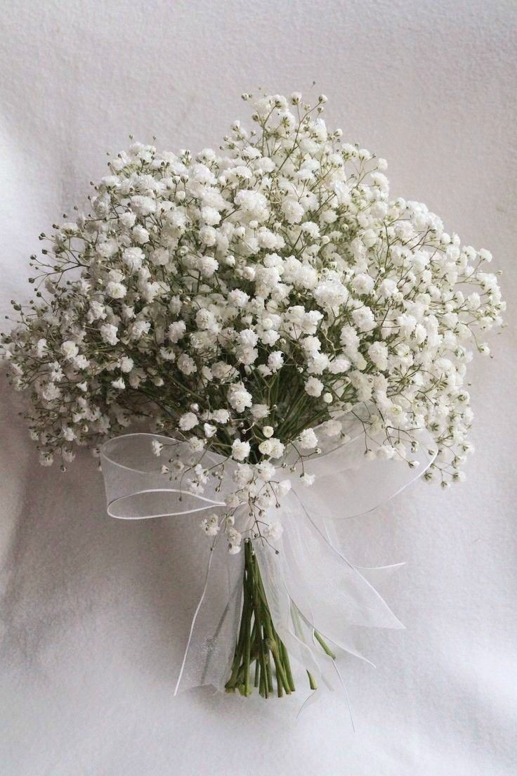 _(flowers)_.jpg