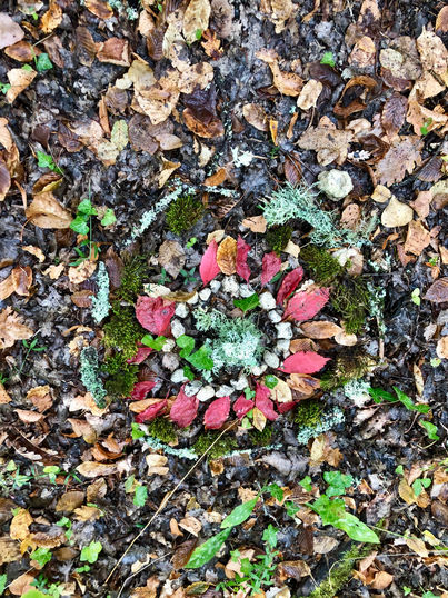 Flower.jpeg