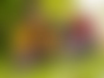 Understanding Physical Disabilities & The Importance of Personalized Home Care