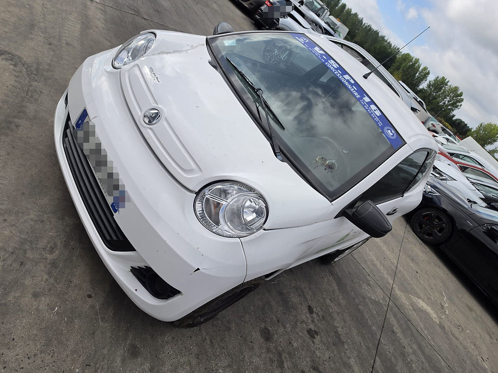 Miniatura: Aixam s9 minauto 