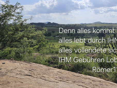 Newsletter Nr. 7