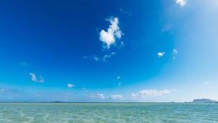 映画「波乗りオフィスへようこそ」の地方創生というコンセプトに賛同し、弊社は本映画に協賛させて頂きました。