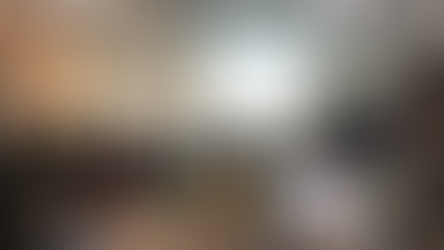 【Arithmer Seminar #01】東京大学大学院数理科学研究科教授の儀我美一先生