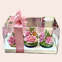 Photoroom_20260219_093057.png