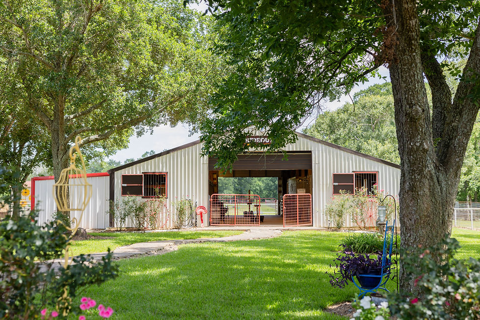 The groom's room is in an old horse stable surrounded by a garden at a wedding venue near Wharton County, TX. 