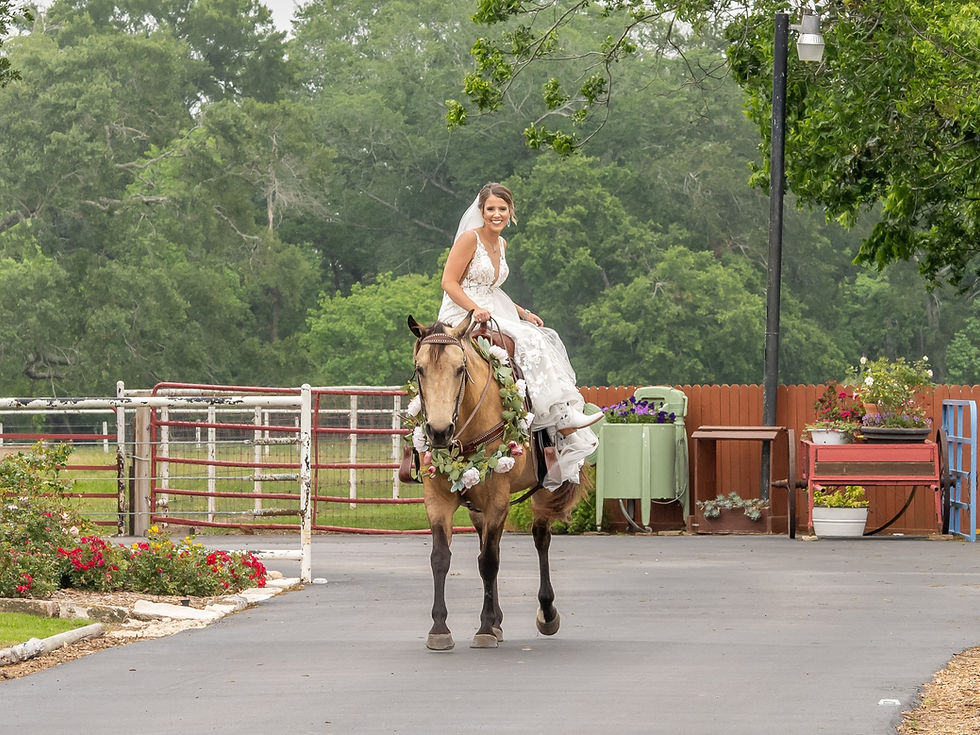 Bride on Horseback in ranch venue near Houston, Texas