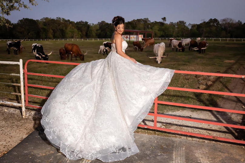Beautiful bride posing with longhorns in the background at a ranch wedding venue near Rosenberg, Texas.