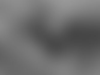 Two swan sculptures form a heart shape with their necks. The monochrome image highlights their smooth texture against a plain background at a wedding venue near Sugar Land, Texas