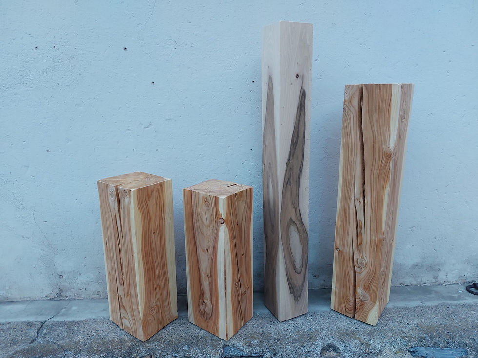 Lärche und Nussbaum