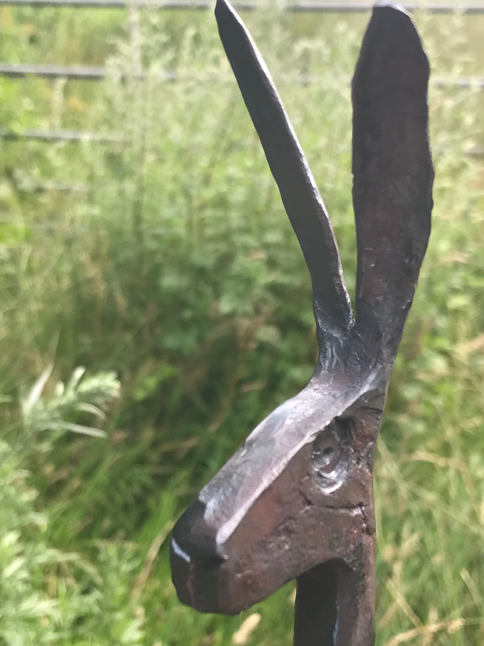 Thumbnail: Hare Bottle Opener