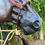 Thumbnail: *In Stock* 3/8" Full  Kangaroo Bosalita Over Rawhide Core
