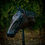 Thumbnail: Kangaroo Braided Headstall - One Ear