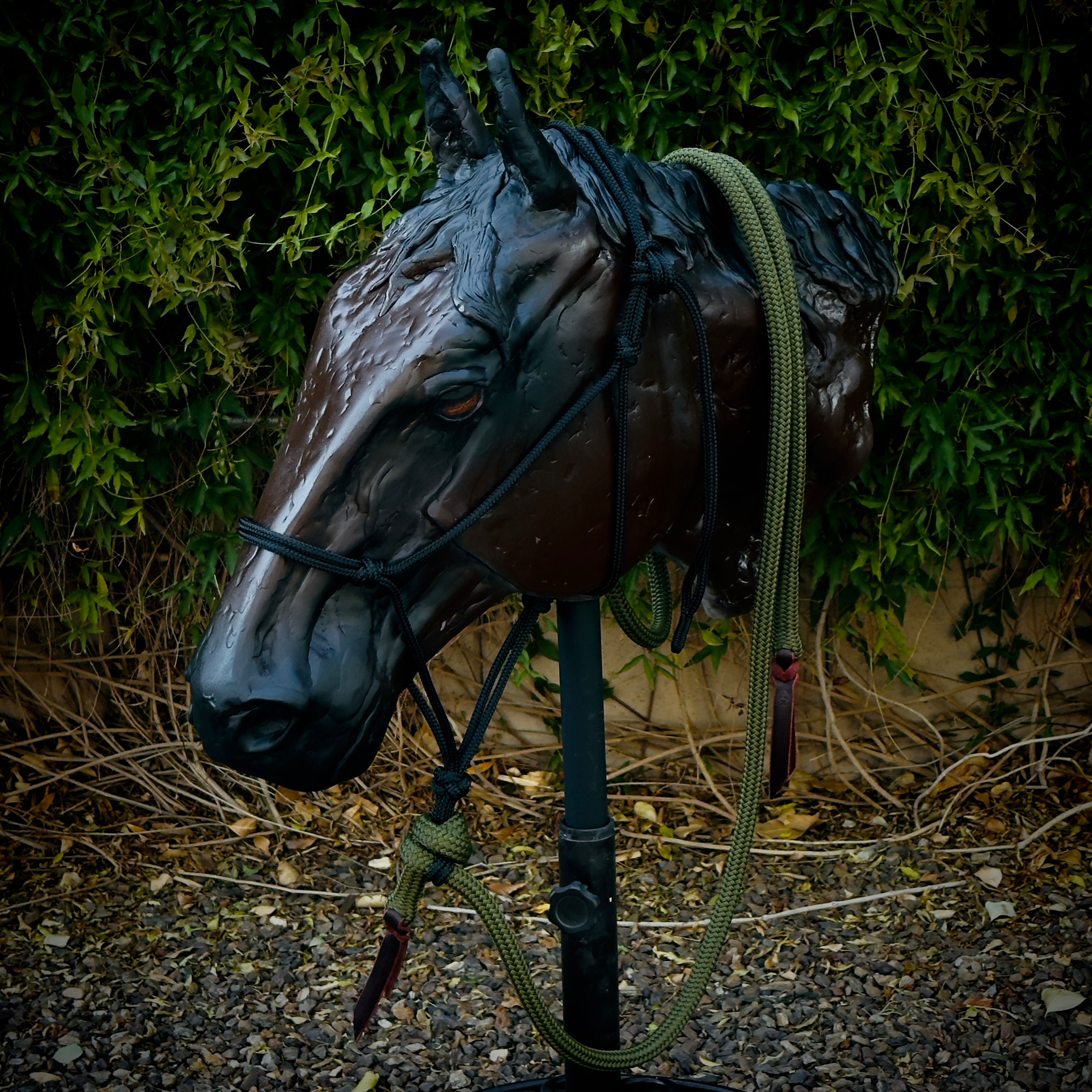 Lead Rope – 9/16" Premium Double Braid Polyester