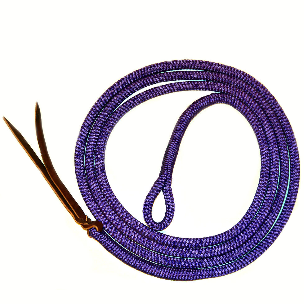 Thumbnail: Lead Rope with snap – 9/16" Premium Double Braid Polyester