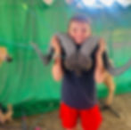 ree