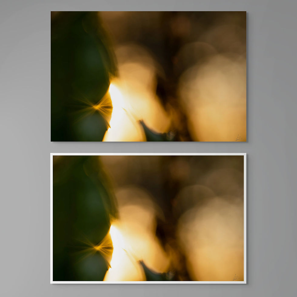 Thumbnail: - luce dell´occhio - limited edition -