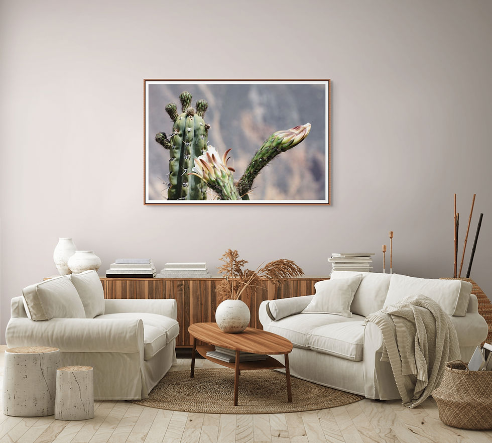 Miniaturbild: - gesto italiano - limited edition -