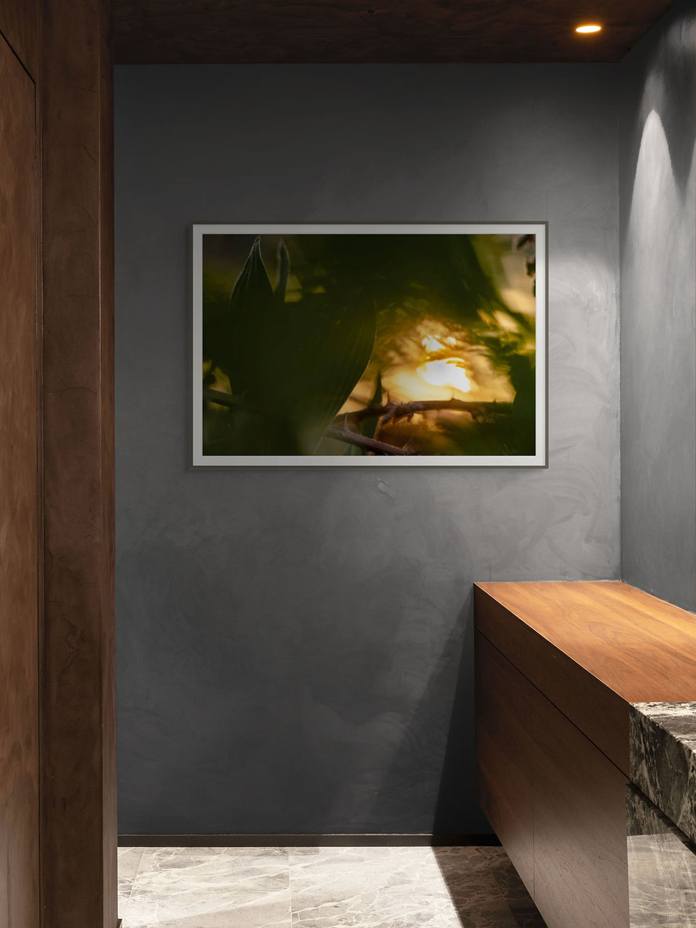 Thumbnail: - verso la luce - limited edition -