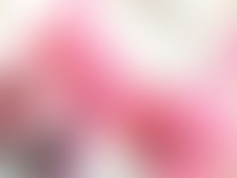 Sawren ブラジャー紹介