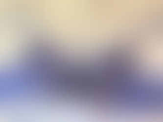 新作ブラ【JASMIN blue-purple】