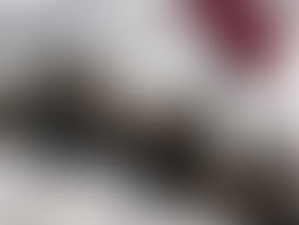 【新作ブラ】 COLETTE black