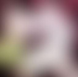 Sawren ブラジャー紹介