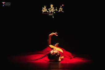 [中] 《盛舞之夜》II 帶來簡約華章