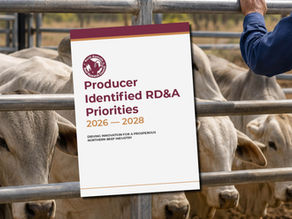 Northern producers set the agenda for future beef industry RD&A investment