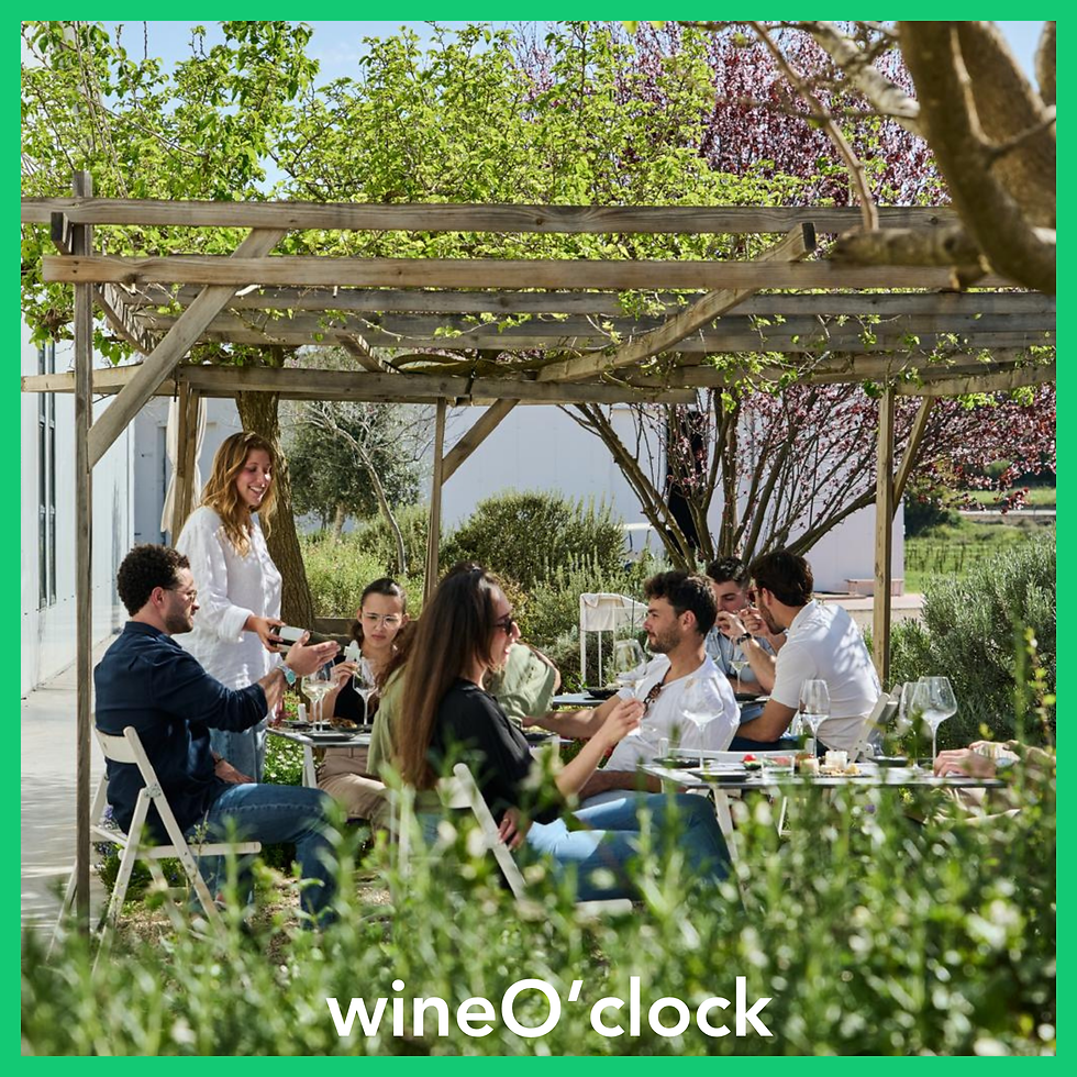 תמונה ממוזערת: Winery Experience