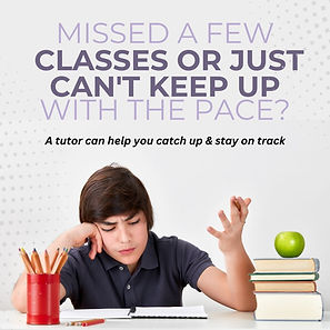 Expert academic support with Top Tier Tuition's premium online tutoring