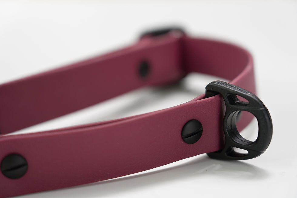 Thumbnail: COLLARS