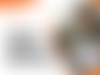 Vibrant Living – October 2025