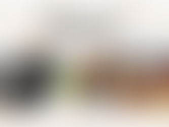 Monthly Digest: January 2025