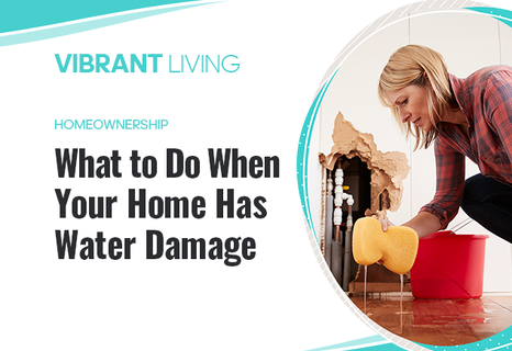 Vibrant Living – September 2025