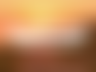 Your Guide to Summer Home Maintenance