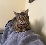 IMG_4729.jpeg