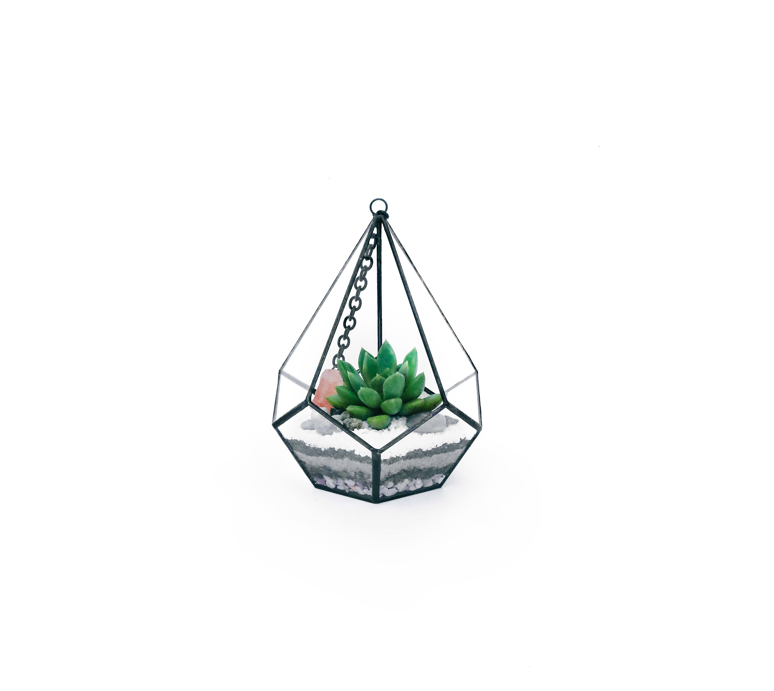 Geometric Succulent Terrarium Diamond Black