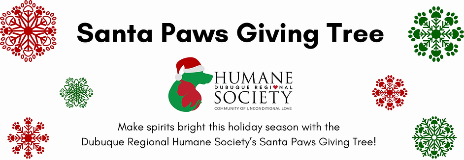 Website Banner Files (8).png