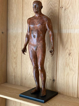 INNATE II