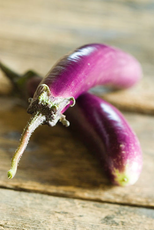 Melanzana Perlina