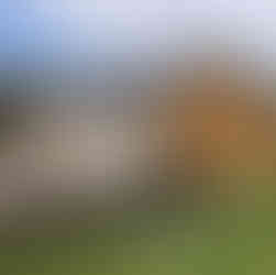 Three bay Oak catslide garage with roller shutter doors