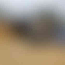 Oak Frame Garage with three bays & waney edge weatherboard in Cheshire