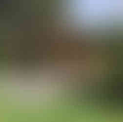 Oak gazebo side view with furniture