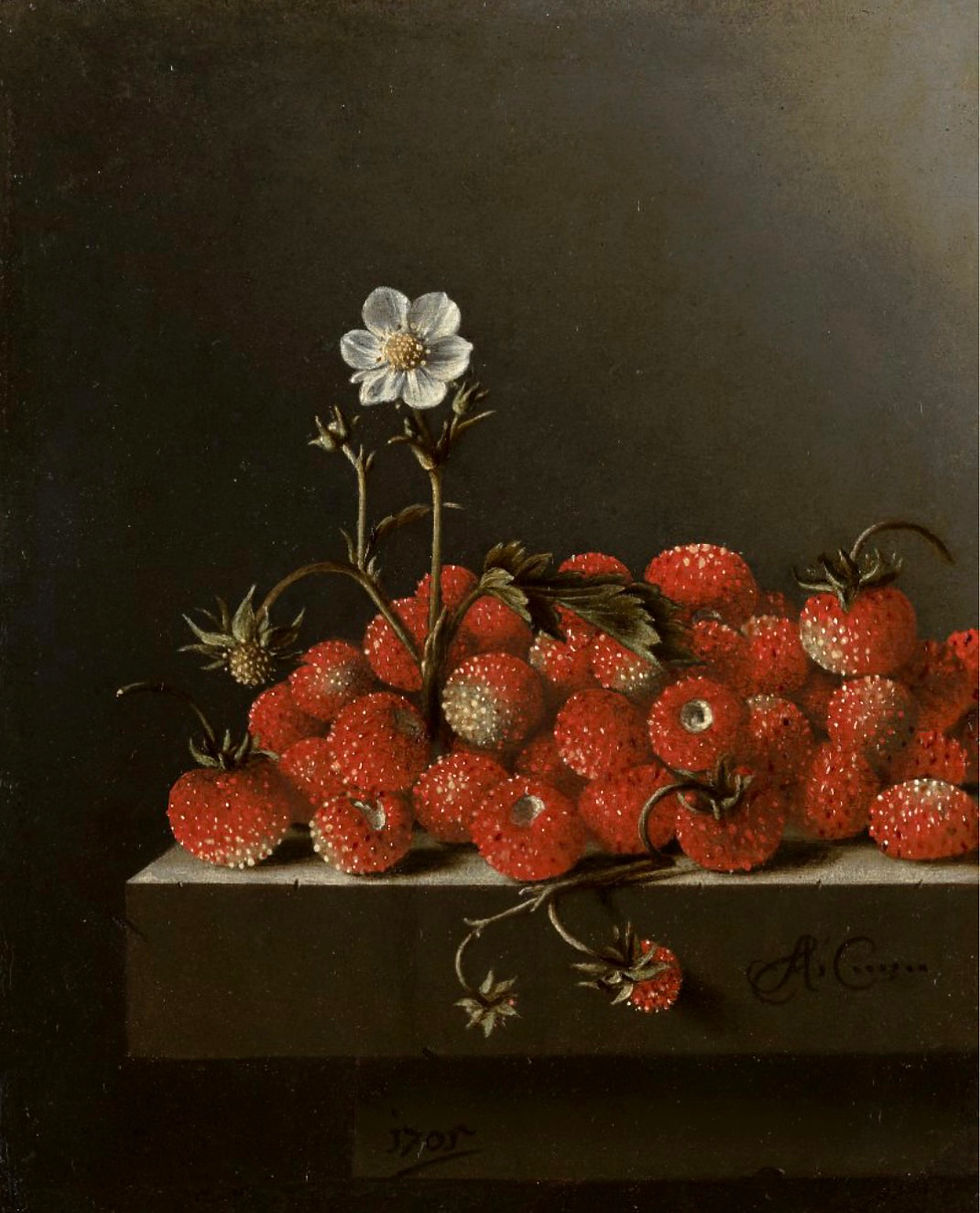 Adriaen Coorte