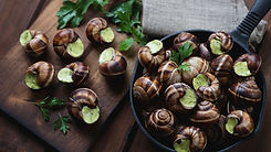 escargot.jpeg